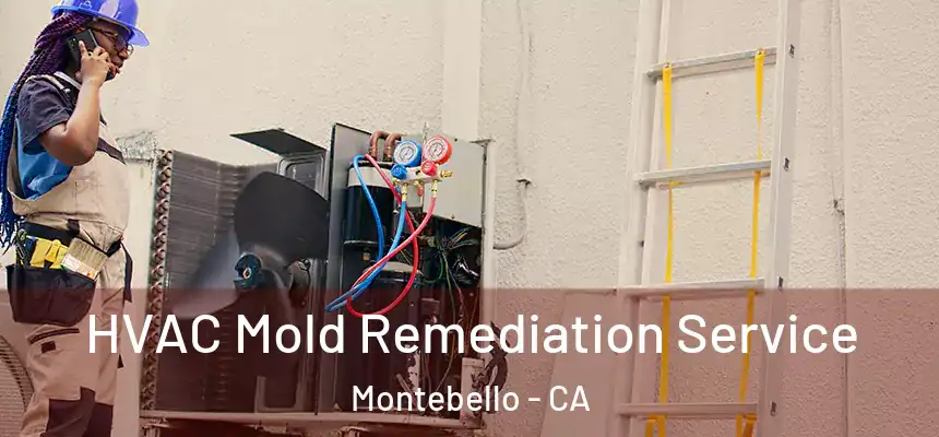  HVAC Mold Remediation Service Montebello - CA