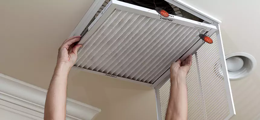 Preventive Cockroach-Proofing for Ducts in Montebello