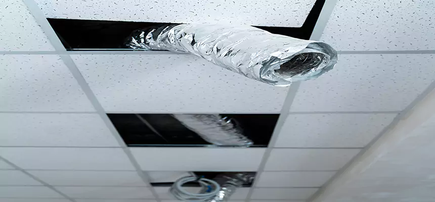 Our Air Duct Pet Hair Removal Services in Montebello, CA