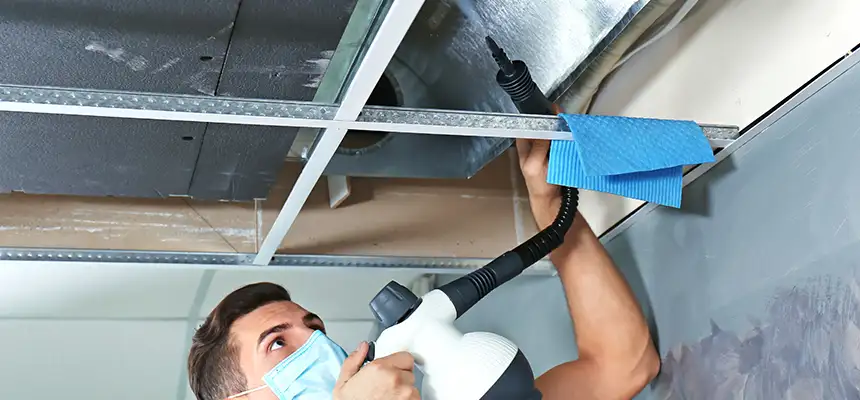 Our Air Duct Rodent Removal Services in Montebello, CA