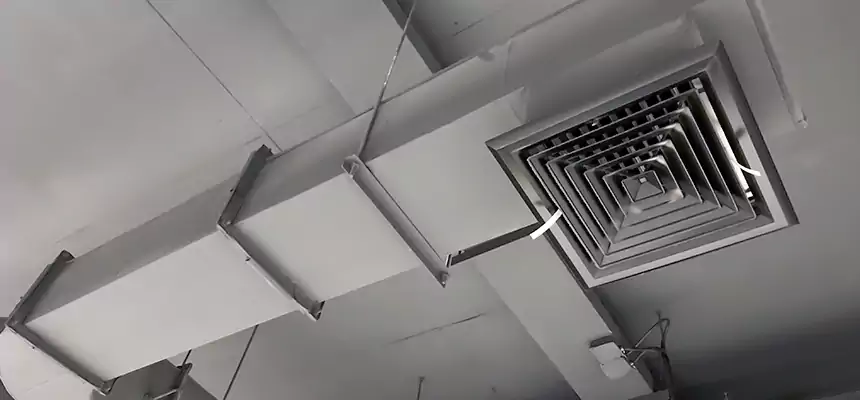 Our Pest Removal From Ducts Services in Montebello, CA