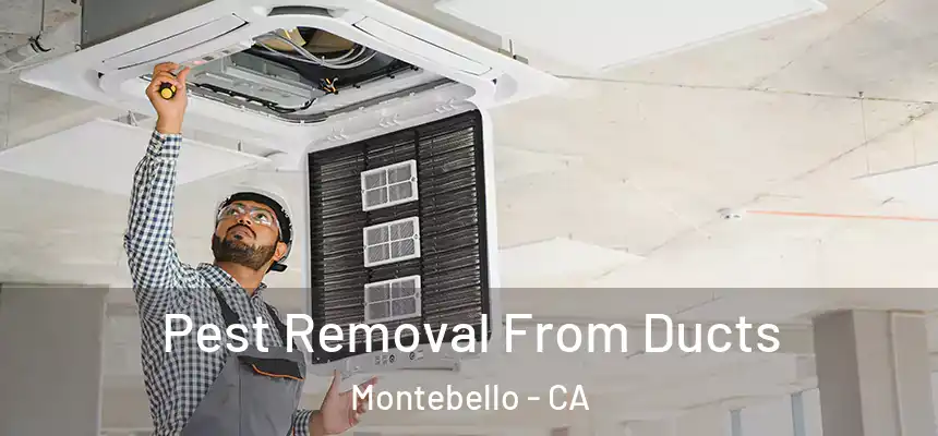  Pest Removal From Ducts Montebello - CA