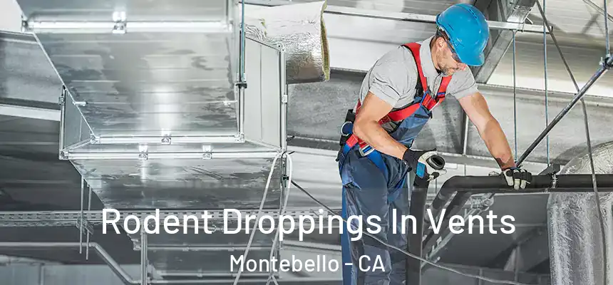  Rodent Droppings In Vents Montebello - CA
