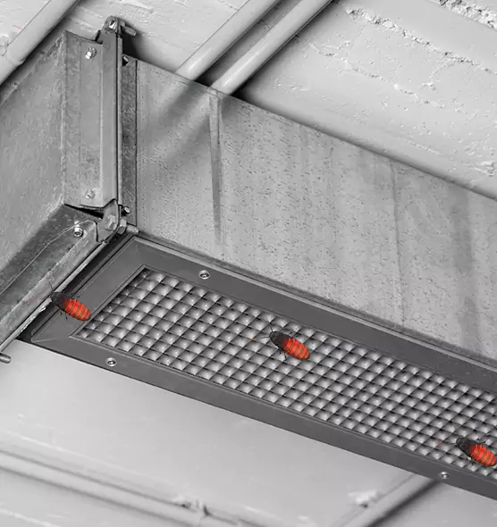 Affordable Insect Removal from Air Ducts in Montebello, CA