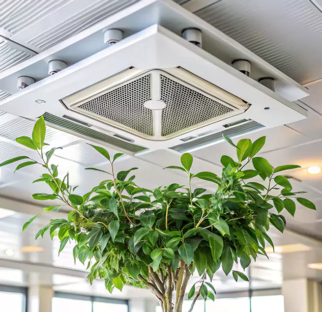 Why Homeowners & Businesses Trust Us in Montebello, CA